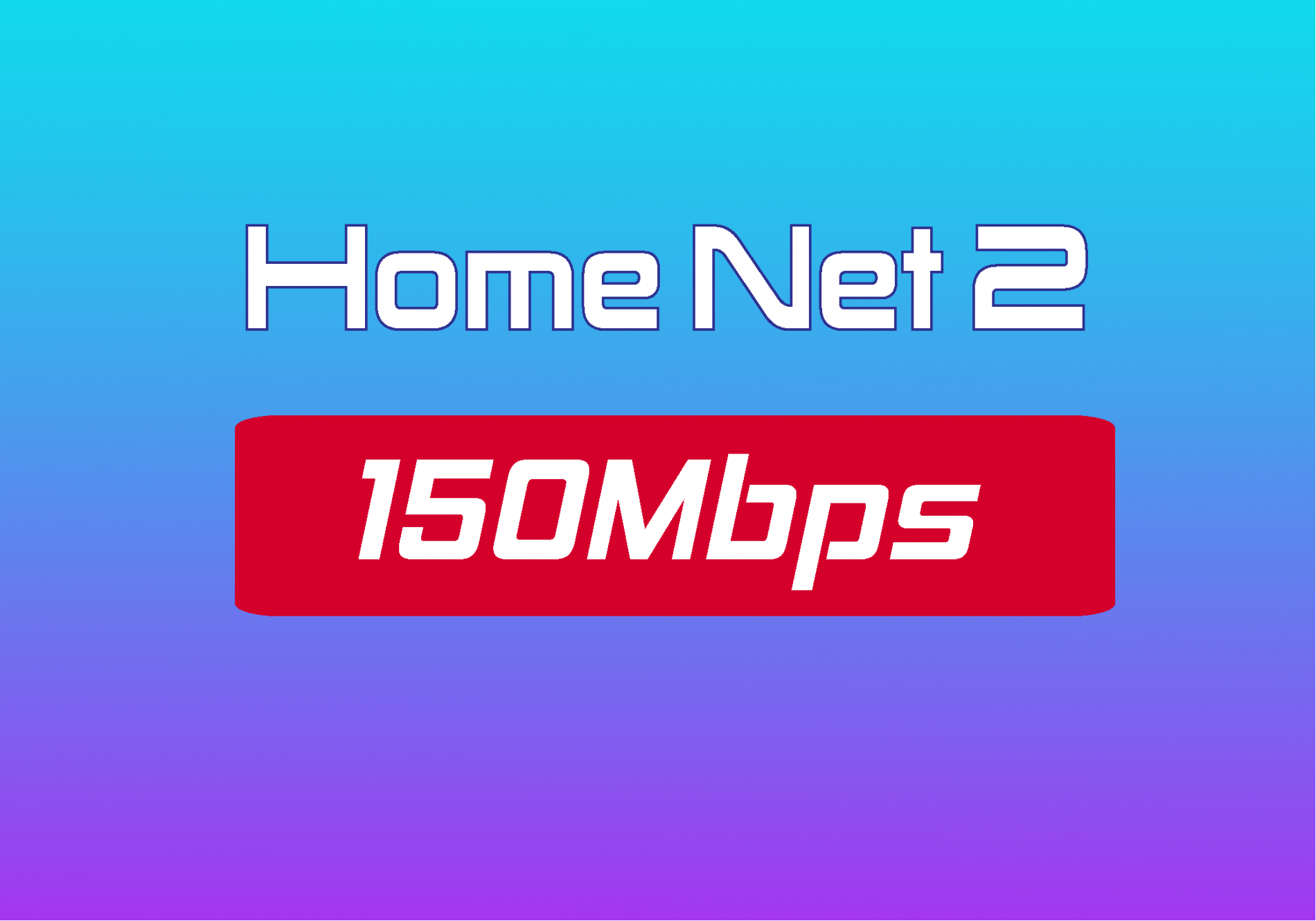 home-net-2