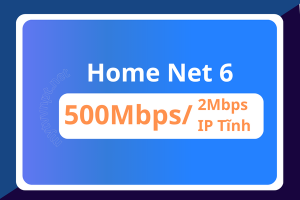 Home Net 6