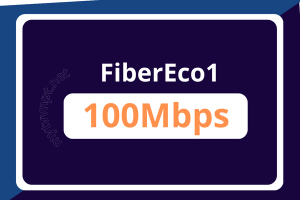 Fiber Eco1